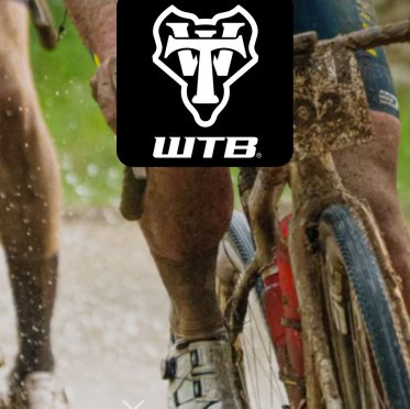 WTB tires & tubeless