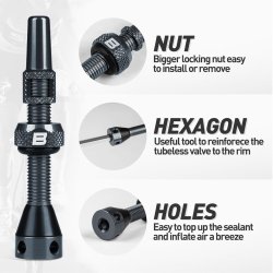 Tubeless Valve Set