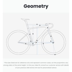 evolve CIMA Speed - Rewind/Bold Carbon Road bike - Size L/580mm