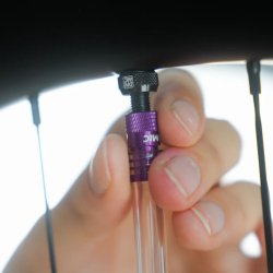 Dynamic Hector the Injector Sealant injector