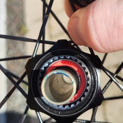 FARSPORTS 2026 Gravel X4 Sapim CX-Ray