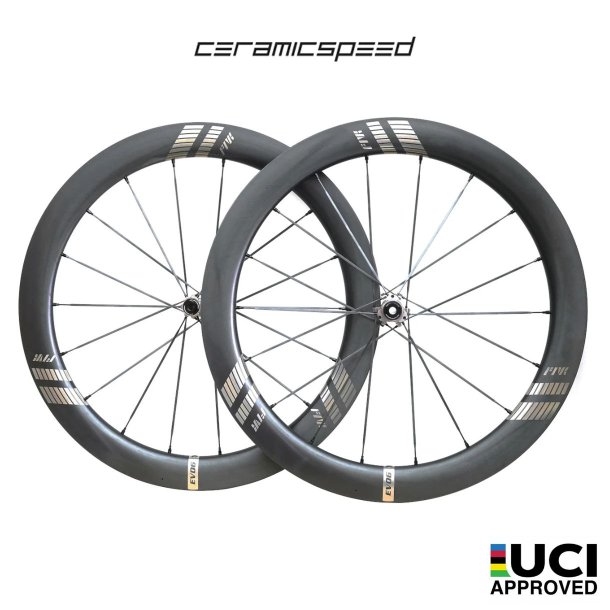 FARSPORTS EVO S6 Carbon Spokes