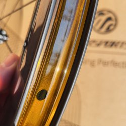 FARSPORTS 2026 Gravel X4 Sapim CX-Ray